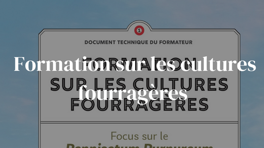 Formation sur les cultures fourragères
