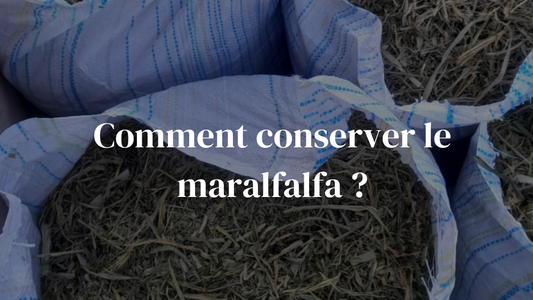 Comment conserver le maralfalfa ?