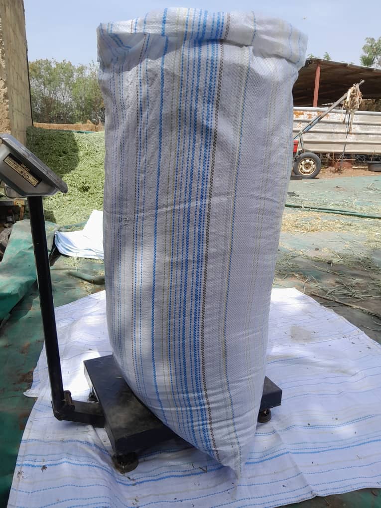 Sac maralfalfa frais 30 kg - Fourrage vert