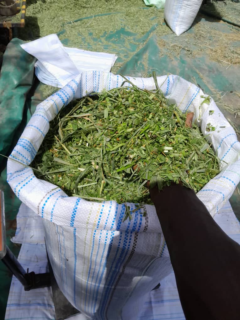 Sac maralfalfa frais 30 kg - Fourrage vert