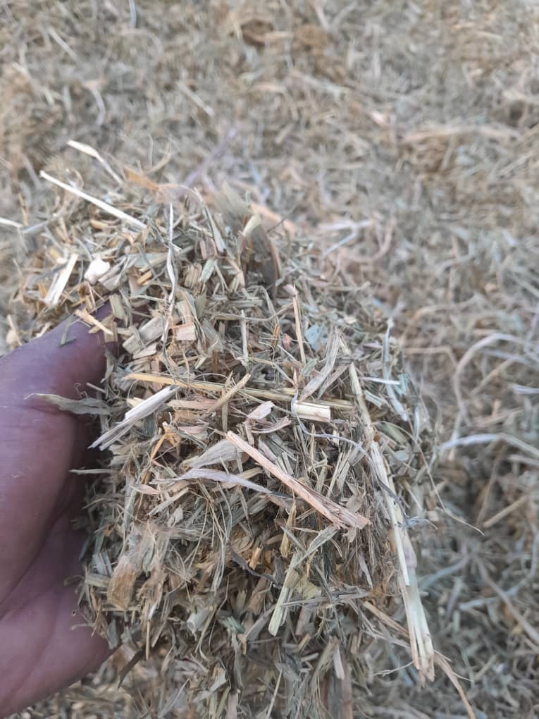 Sac foin de maralfalfa 15 kg - Fourrage séché