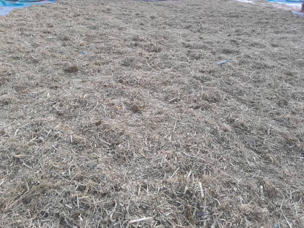 Sac foin de maralfalfa 15 kg - Fourrage séché