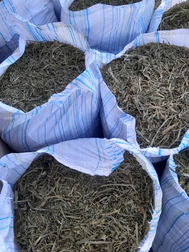 Sac foin de maralfalfa 15 kg - Fourrage séché